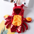 Cat and Dog Costume for Halloween