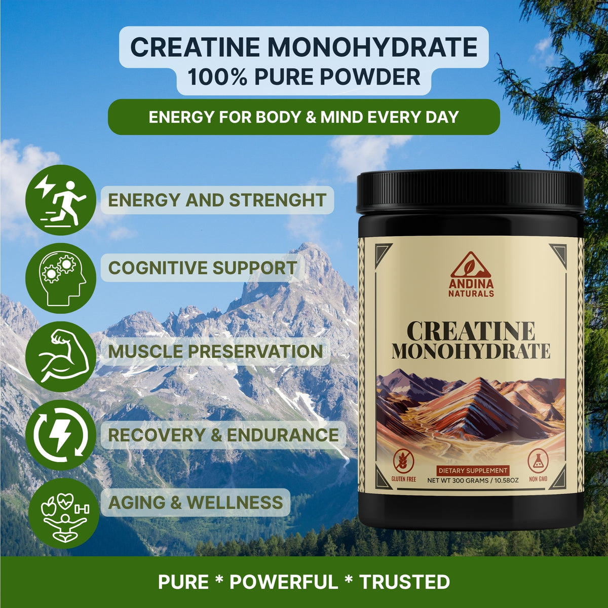 Creatine Monohydrate Powder – 100% Pure Micronized Creatine | 300g