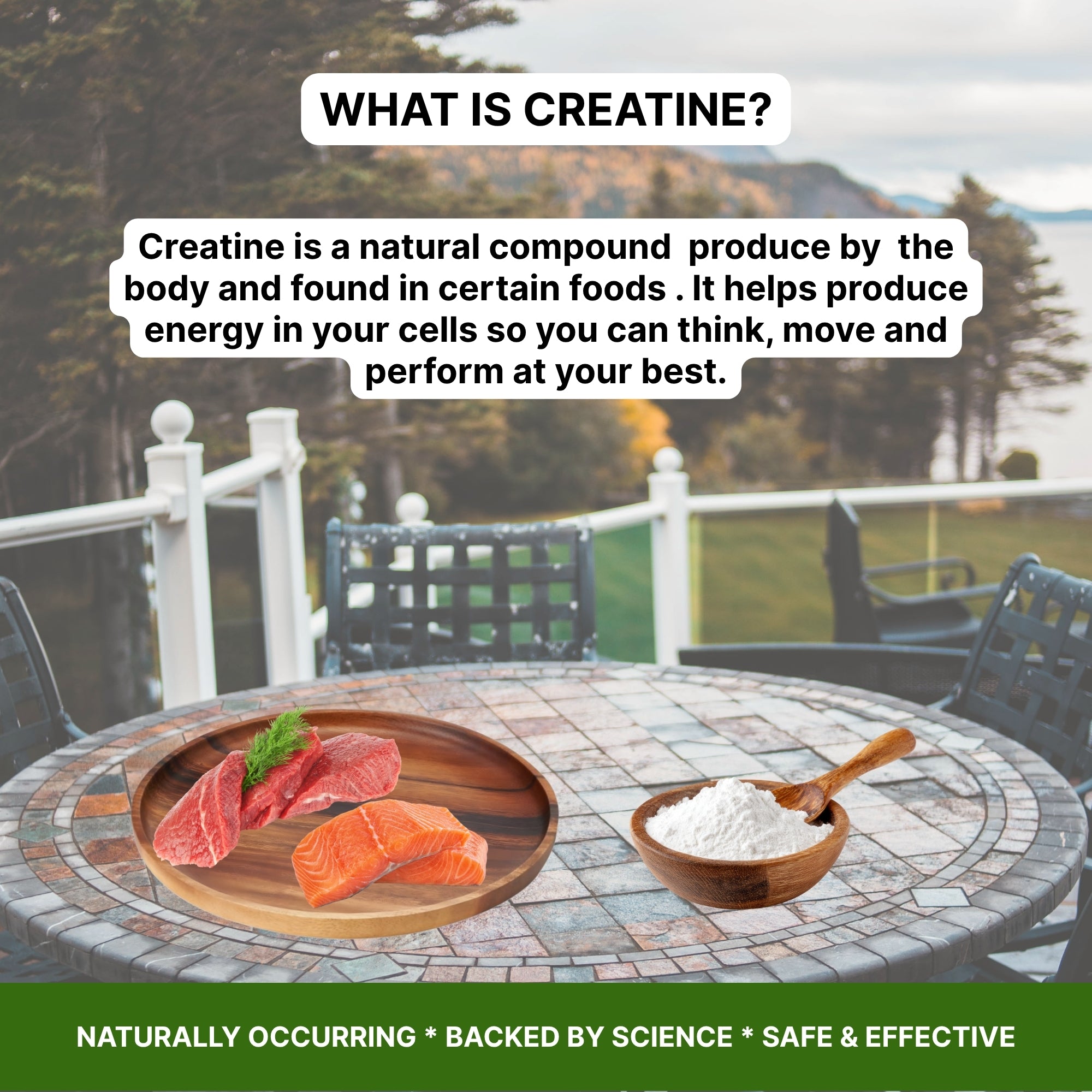 Creatine Monohydrate Powder – 100% Pure Micronized Creatine | 300g