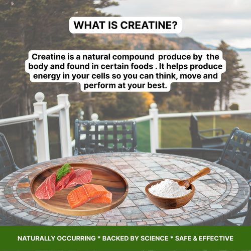 Creatine Monohydrate Powder – 100% Pure Micronized Creatine | 300g