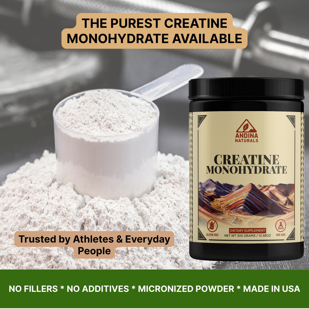 Creatine Monohydrate Powder – 100% Pure Micronized Creatine | 300g