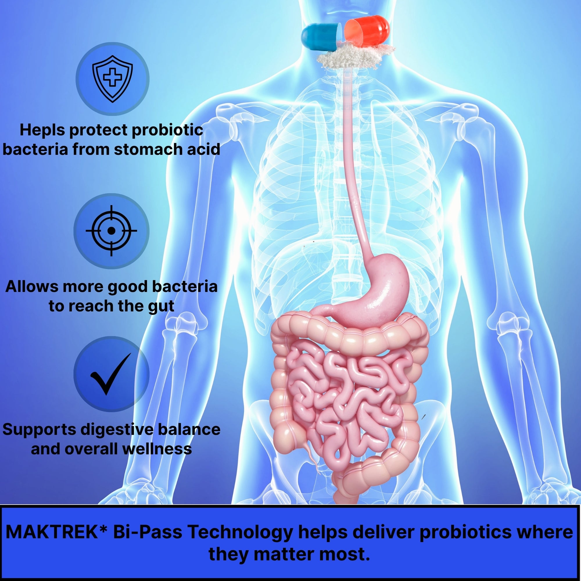 Probiotic 40 Billion CFU Capsules | Digestive & Immune Support