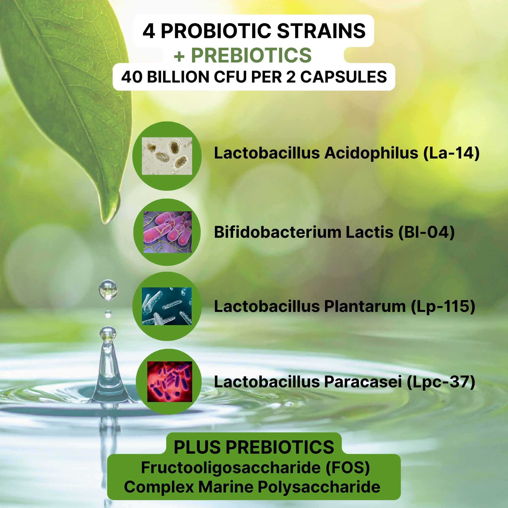 Probiotic 40 Billion CFU Capsules | Digestive & Immune Support