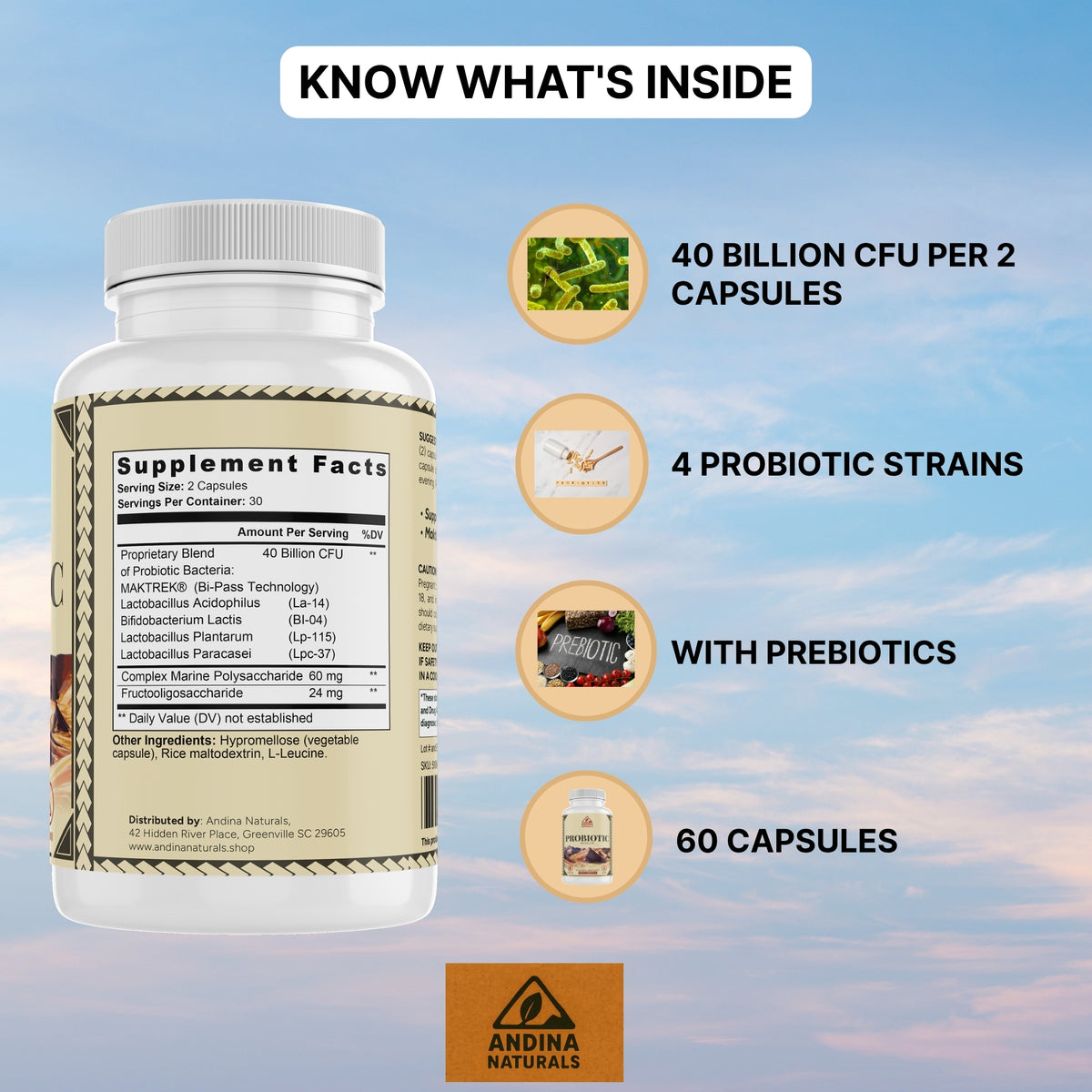 Probiotic 40 Billion CFU Capsules | Digestive & Immune Support