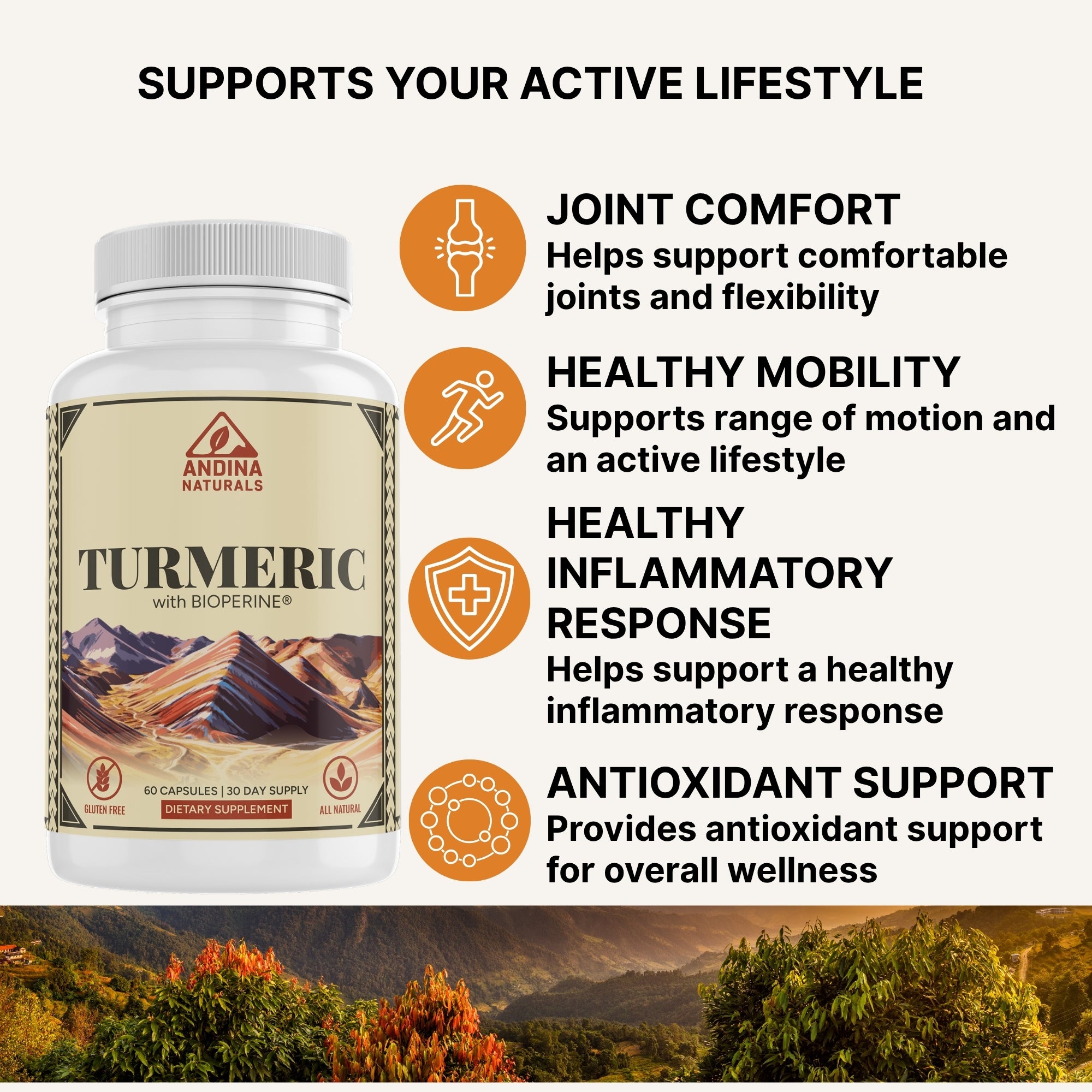 Turmeric Curcumin + BioPerine | Joint Comfort & Healthy Inflammation Support