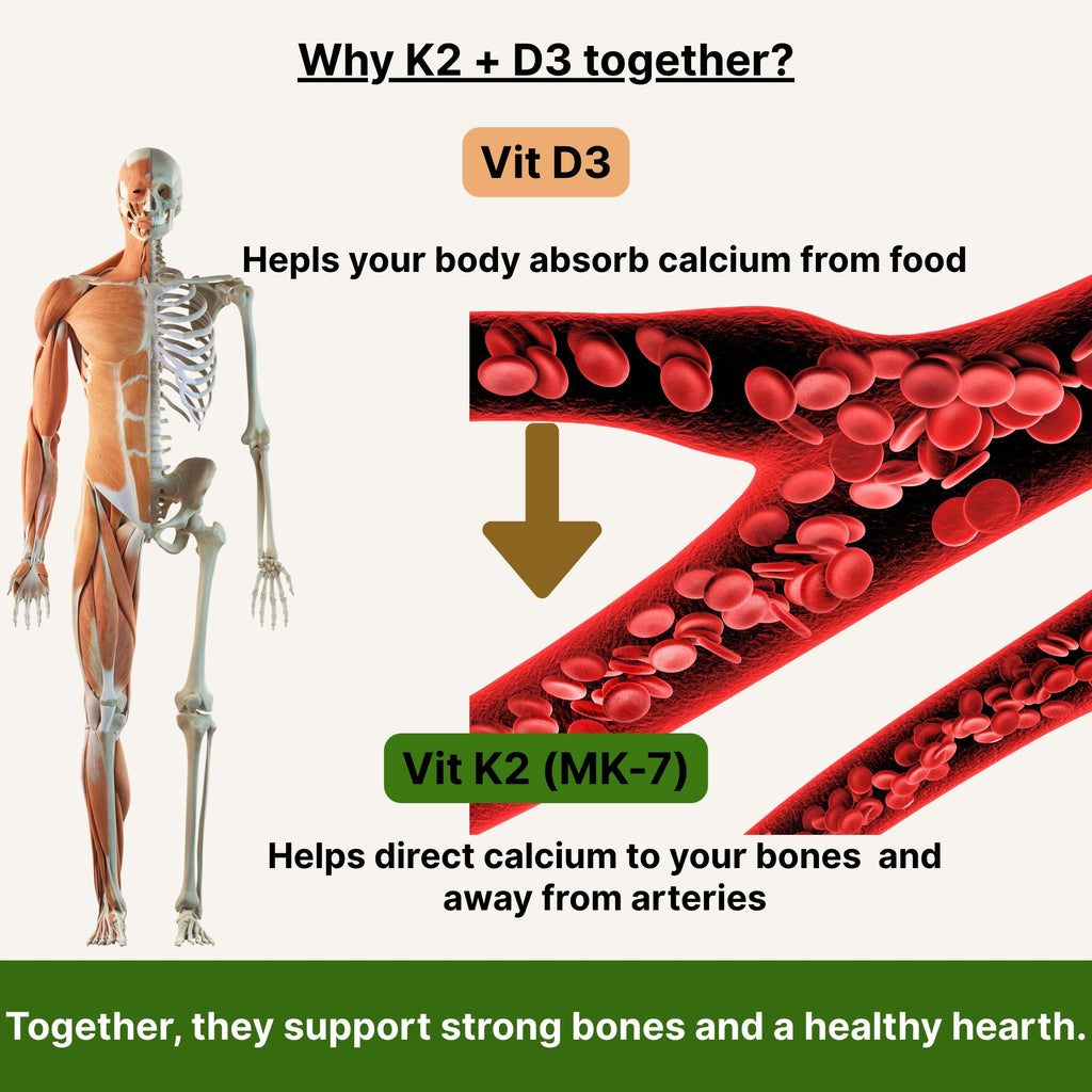 Vitamin K2 + D3 | Bone, Heart & Immune Support